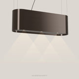 Wave 2119.603 OVAL eilandafzuigkap 120 cm in Anodic Brown, met verlichting aan