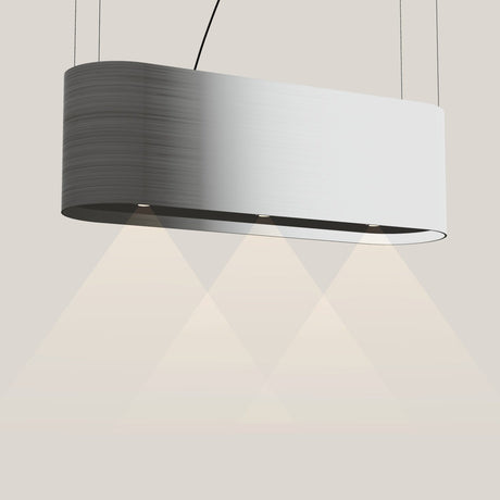 Wave 2119 OVAL eilandafzuigkap 120 cm in RVS, met verlichting aan