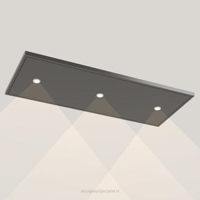 Wave 8231.604 EDGE plafondunit 120 x 50 cm in Smoked Silver, met verlichting aan